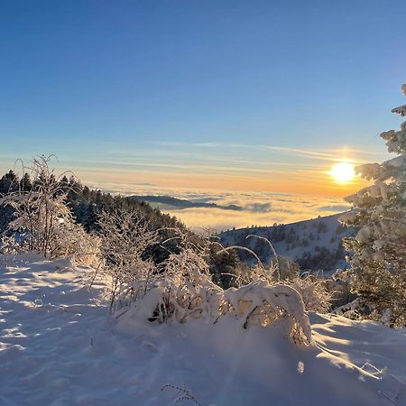 Brvnara Iverak Mokra Gora Bagian luar foto