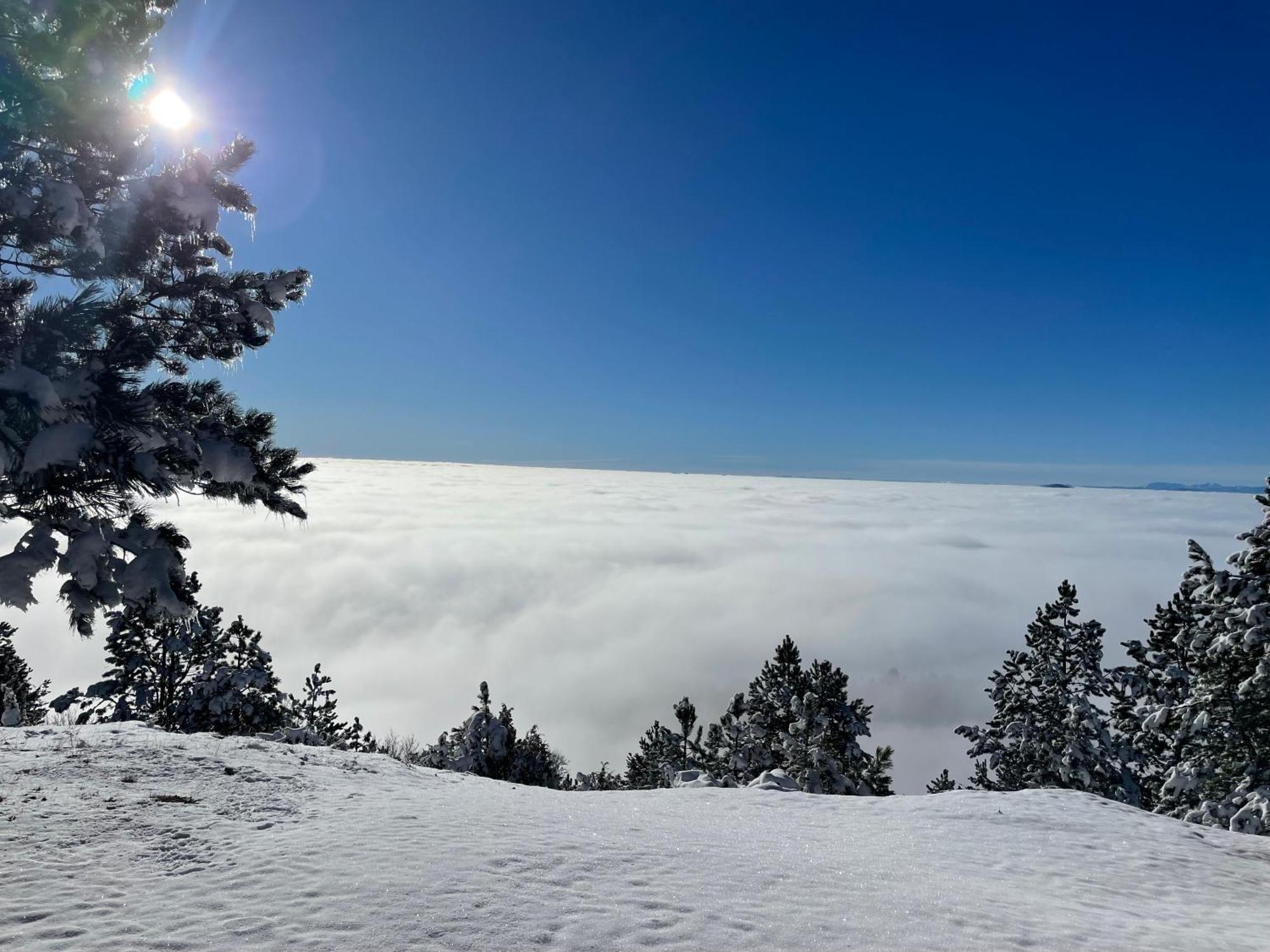 Brvnara Iverak Mokra Gora Bagian luar foto