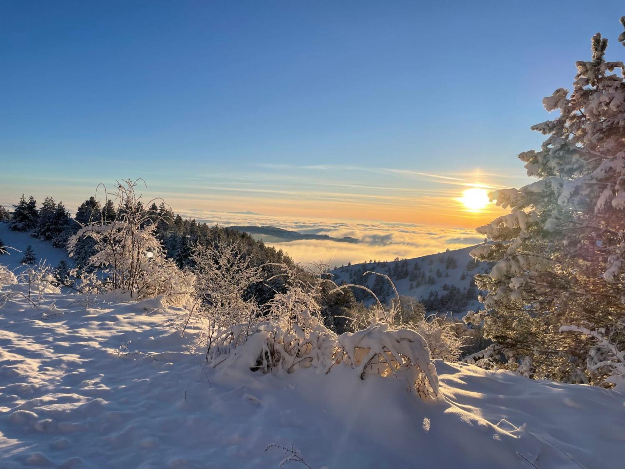Brvnara Iverak Mokra Gora Bagian luar foto